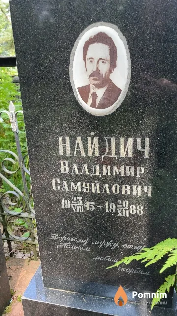 Найдич Владимир Самуйлович