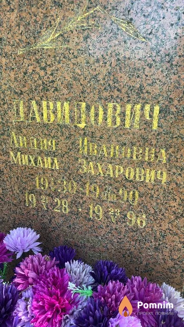 Давидович Михаил Захарович