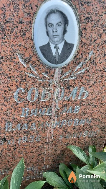 Соболь Вячеслав Владимирович