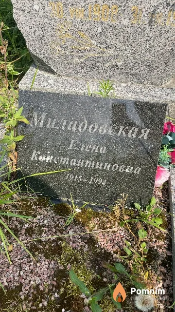 Миладовская Елена Константиновна