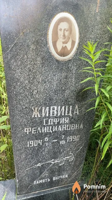 Живица София Фелициановна