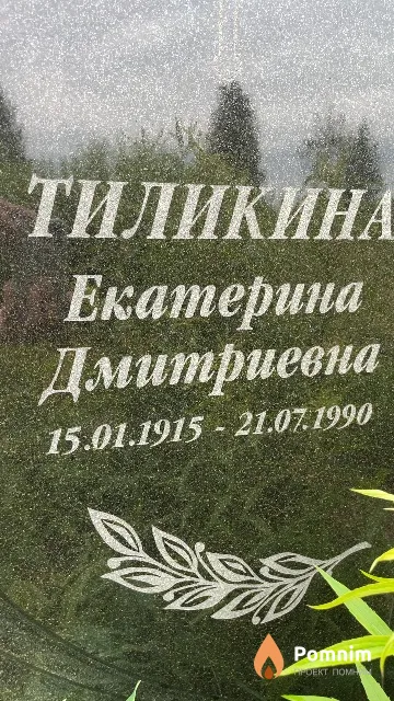 Тиликина Екатерина Дмитриевна