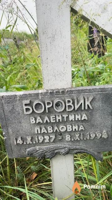 Боровик Валентина Павловна
