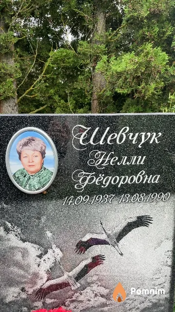 Шевчук Нелли Фёдоровна