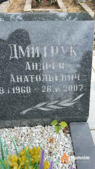 Дмитрук Андрей Анатольевич