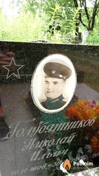 Голубятников Николай Ильич