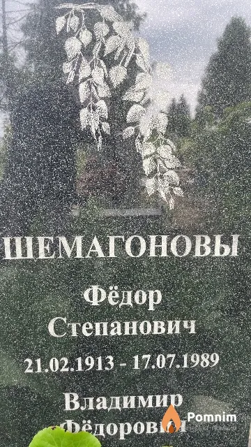 Шемагонов Фёдор Степанович