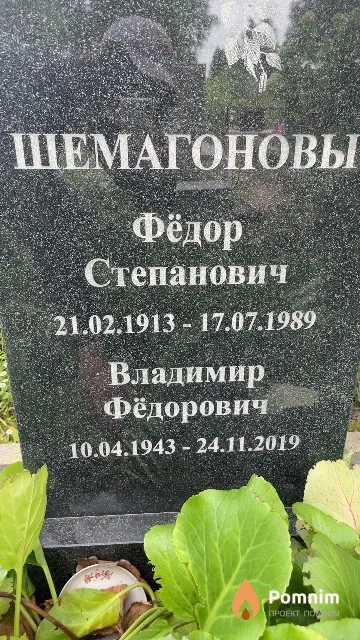 Шемагонов Владимир Фёдорорович