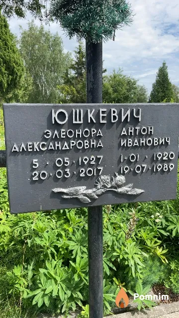 Юшкевич Элеонора Александровна