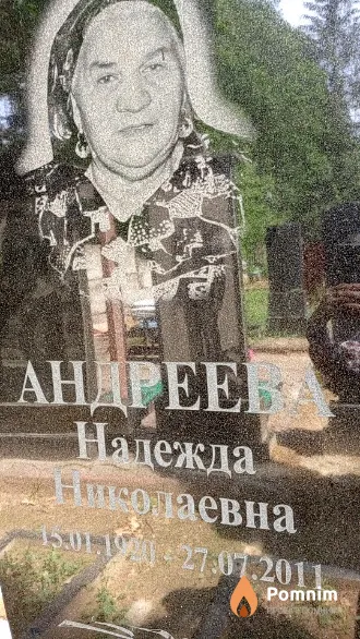 Андреева Надежда Николаевна