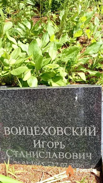 Войцеховский Игорь Станиславович