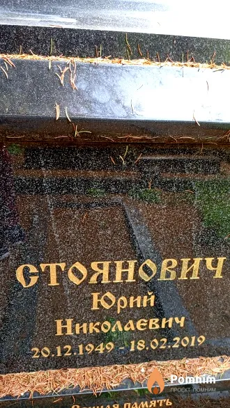 Стоянович Юрий Николаевич