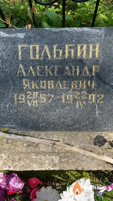 Гольбин Александр Яковлевич