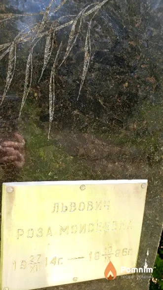 Львович Роза Моисеевна