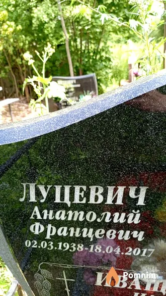 Луцевич Анатолий Францевич