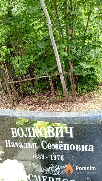Волкович Наталья Семёновна