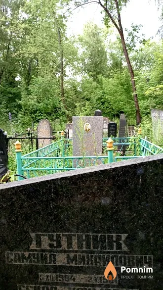 Гутник Самуил Михайлович