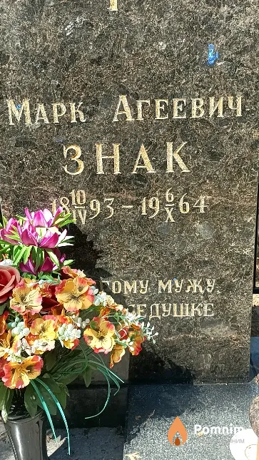 Знак Марк Агеевич
