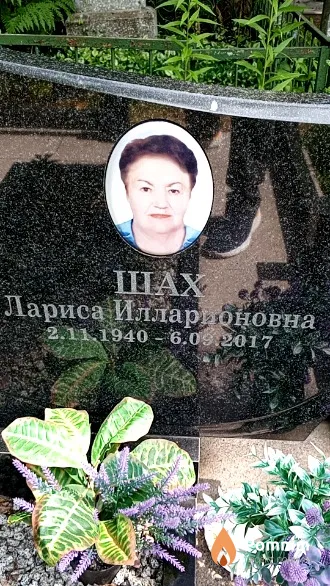 Шах Лариса Илларионовна
