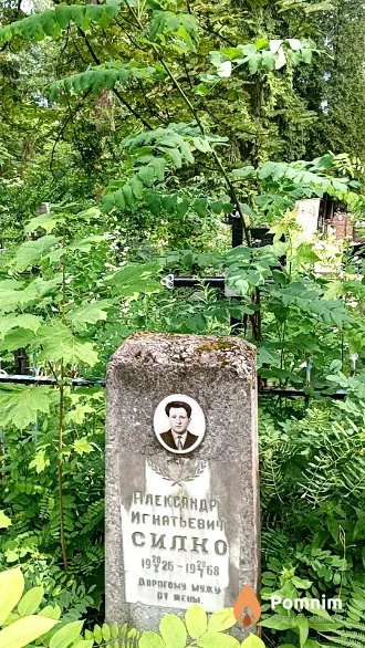 Силко Александр Игнатьевич