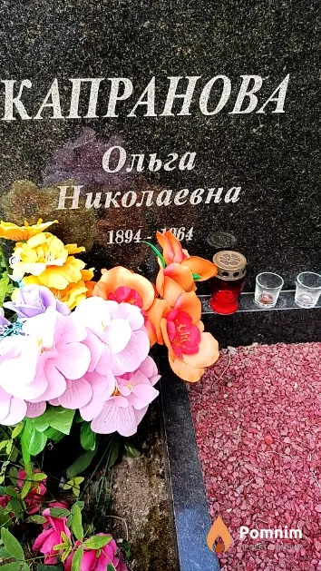 Пилютина Елена Владимировна