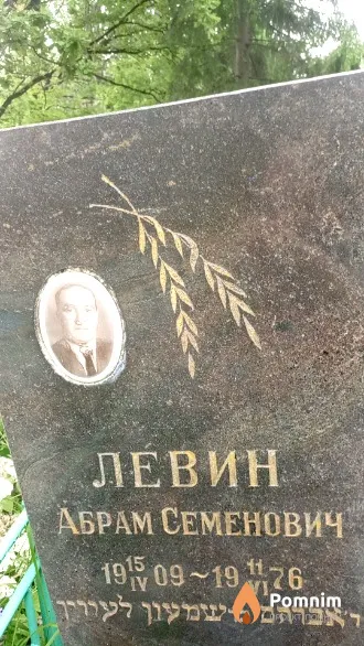 Левин Абрам Семенович