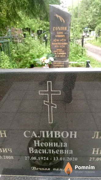 Саливон Неонила Васильевна