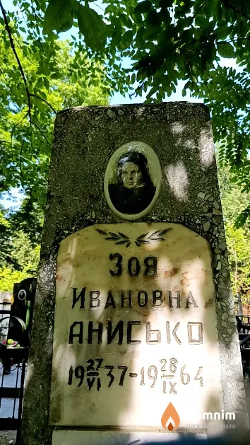 Анисько Владимир Антонович