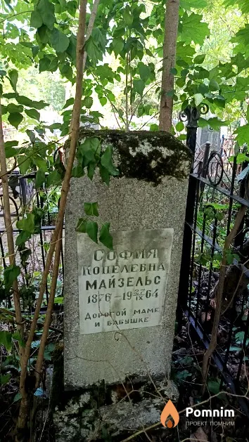 Майзельс София Копелевна
