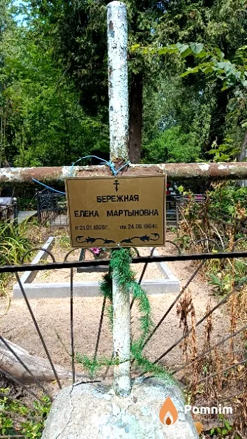 Бережная Елена Мартыновна