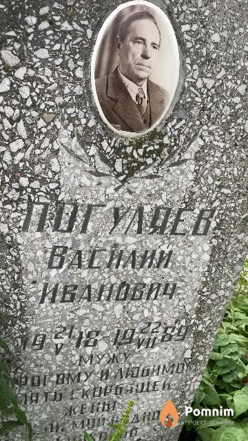 Погуляев Василии Иванович