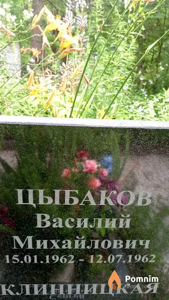 Цыбаков Василий Михайлович