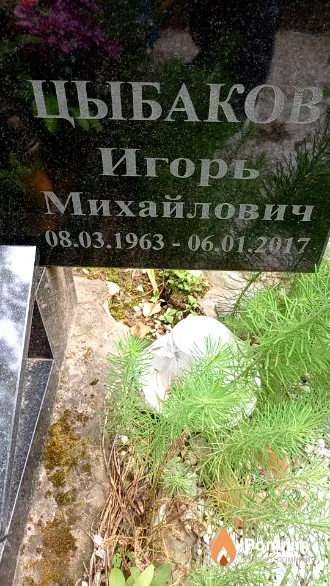 Цыбаков Игорь Михайлович