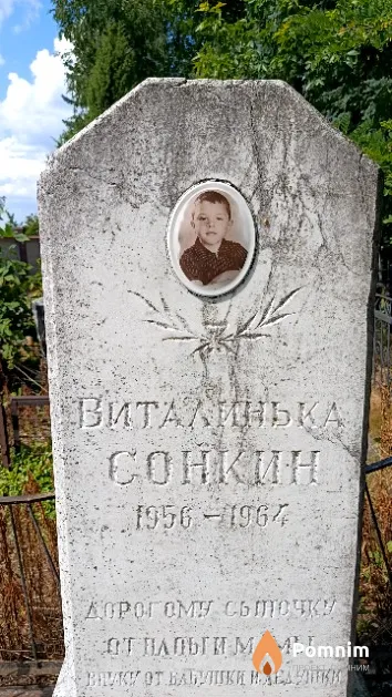 Сонкин Виталий