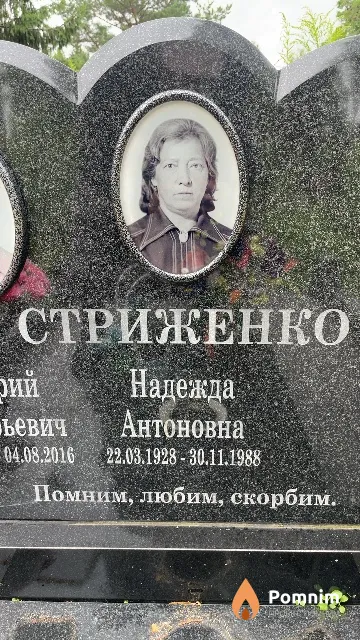 Стриженко Надежда Антоновна