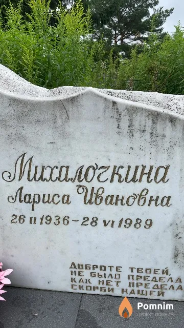 Михалочкина Лариса Ивановна