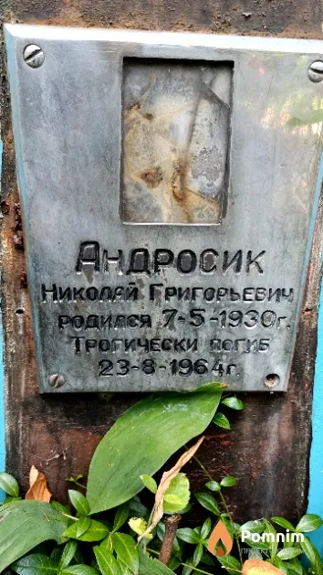 Андросик Николай Григорьевич