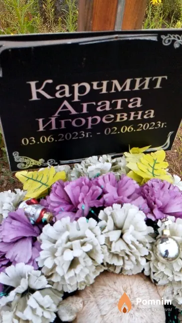 Карчмит Агата Игоревна