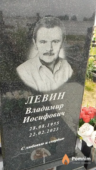 Левин Владимир Иосифович