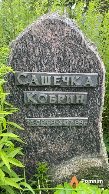 Кобрин Александр