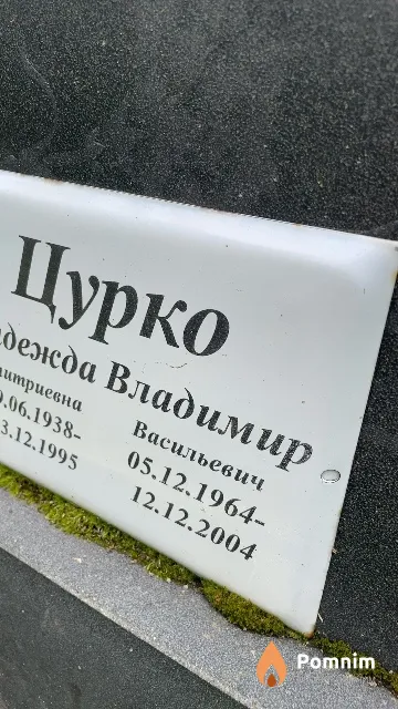 Цурко Владимир Васильевич