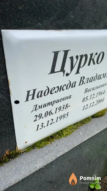 Цурко Надежда Дмитриевна