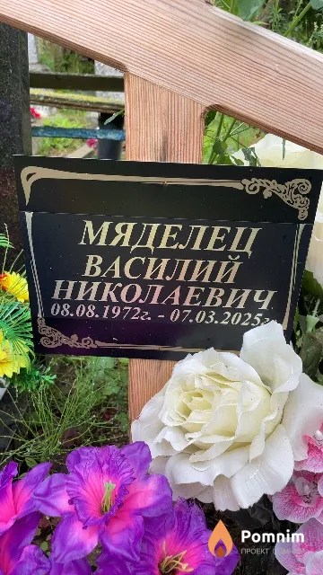 Мяделец Василий Николаевич
