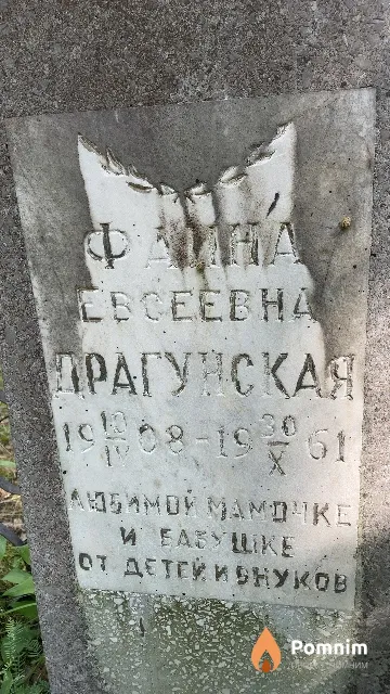 Драгунская Фаина Евсеевна