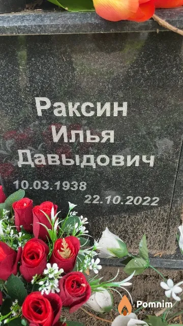 Раксин Илья Давыдович