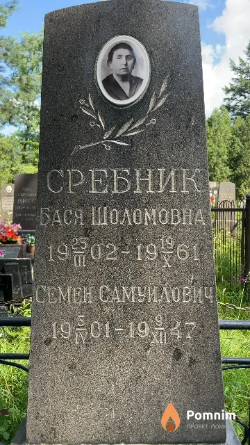 Сребник Семен Самуилович