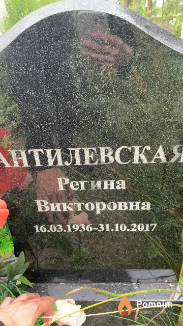 Антилевская Регина Викторовна