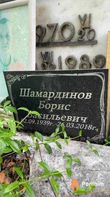 Шамардинов Борис Васильевич