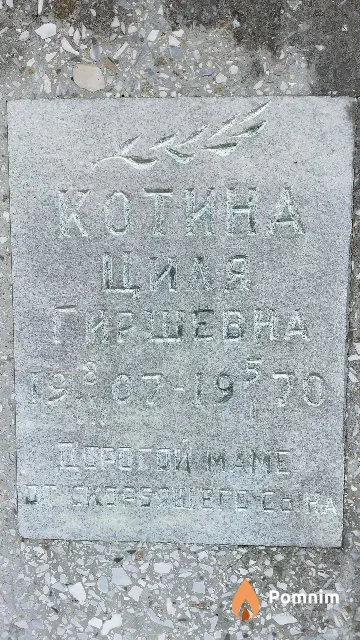 Котина Циля Гиршевна