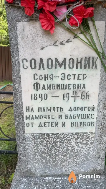 Соломоник Соня-Эстер Файвишевна